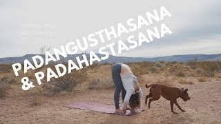 Padangusthasana and Padahastasana How To Beginner Yoga DEEP Forward [upl. by Essinger]