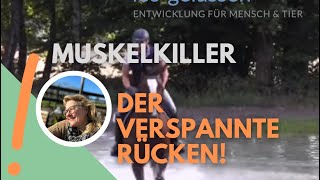 Muskelkiller der verspannte Pferderücken  so löst Du das Problem [upl. by Kliment315]