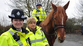 Northamptonshire Police launch volunteers on horseback scheme [upl. by Meda]