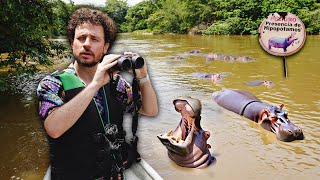 Buscando la plaga de hipopótamos de Escobar en Colombia  ¿Es real ⚠️🦛🇨🇴 [upl. by Triny988]