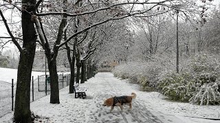 Prognozy na zimę 20242025 Co nas czeka Spore zmiany w warunkach pogodowych [upl. by Eussoj161]