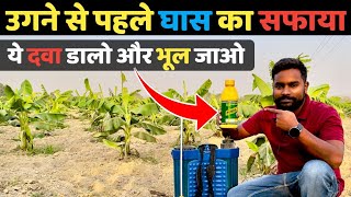 खेतों में खरपतवार उगने से पहले ही सफाया Pendamethalin 30 EC Best Herbicide for weed control [upl. by Ydissahc275]