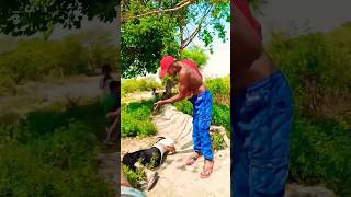 एक बिहारी  100 per Bhari 😂shorts trending viral funny shortvideo reels comedy [upl. by Neelyaj]