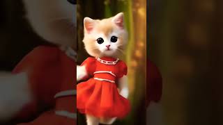 biyer bajna youtube viralvideo cat funny short song [upl. by Chamberlin]