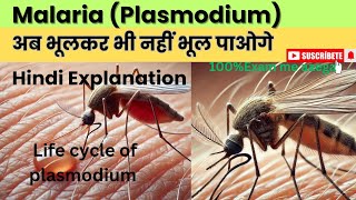 How a Parasite manipulate your RBCs Malaria plasmodium [upl. by Mook]