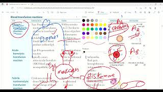 Blood transfusion reactions and autoantibodies  Immunology  First Aid Lectures  Lec26 drjamil [upl. by Namyac276]