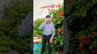 Drrajkumar memorieskannada songskannadatrendingsupportdrrajkumarpuneethrajkumarshivaraj [upl. by Nywde]