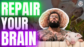 How to Repair Your Brain with Growth Hormones The Power of Cerebrolysin [upl. by Eked]