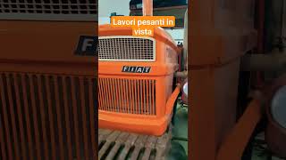 Fiat 1300 DT Super  Lavori pesanti coming soon agricoltura shortvideo fiat 1300 [upl. by Amlez439]