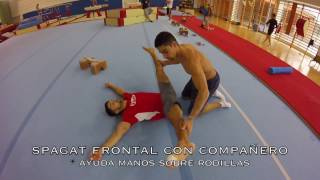 Flexibilidad de hombros y piernas en gimnasia [upl. by Balcke]