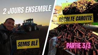 Semis de blé et arrachage de carottes 2 jours ensemble partie 33 [upl. by Ignace305]