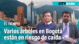 CITYAndo Varios árboles en Bogotá están en riesgo de caída  El Tiempo [upl. by Wiburg]