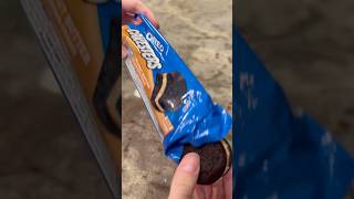 Super easy air fried peanut butter Oreo Cakester easy airfried dessert oreo cookie food eat [upl. by Nosneh]