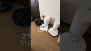 【こんなにいる！？お掃除ロボたち】趣味買い物お掃除ロボット ルンバvlog ecovacs deebot [upl. by Mallin455]