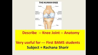 Knee Joint lAnatomylConnecting structures Movements Blood Supply Nerve supply l रचना शारीर l BAMS [upl. by Atikaj]