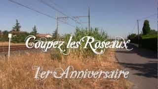 92 COUPEZ LES ROSEAUX [upl. by Jerrold498]