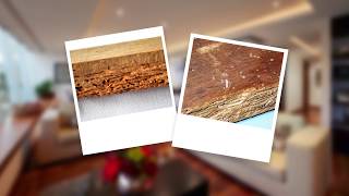 How to Get Rid of Borer and Protect Wood from Borer Damage [upl. by Dareen60]