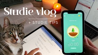 STUDIE VLOG  Samenvatten en Studie Tips [upl. by Krasner762]