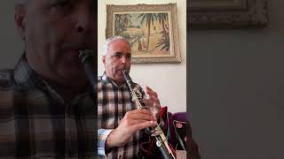 Air des clochettes 59 Mozart lygeros clarinet music youtubeshort viralshorts [upl. by Asirem]