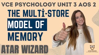 VCE Psychology Unit 3 AOS 2 The Multistore Model of Memory AtkinsonShiffrin [upl. by Verneuil]