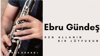 Ebru Gündeş sen allahin bir lütfusun  klarnet improvising [upl. by Ytisahcal]