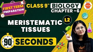 Meristematic Tissues One Shot in 90 Seconds  Tissues  NCERT Class 9 Biology Chapter6 CBSE2024 [upl. by Yanad]