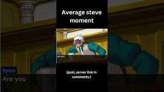 Average steve moment objection [upl. by Akcire]