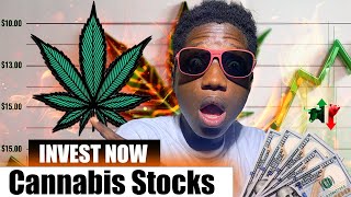 How To Invest In Cannabis Stocks in 2024 [upl. by Engud]