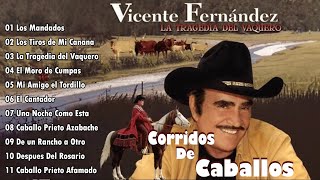 VICENTE FERNANDEZ CORRIDOS DE CABALLOS MIX  VICENTE FERNANDEZ LAS MEJORES RANCHERAS [upl. by Benis325]