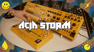 ⚡ ACID STORM  Behringer TD3  TD3 MO  RD6 Jam 🙂 [upl. by Ael]