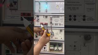 Line Tester Fluke Phase Tester [upl. by Otrebireh]