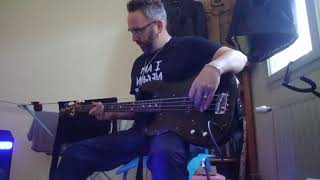 lopportuniste  Jacques Dutronc bass cover [upl. by Adehsar802]