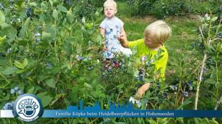 Heidelbeerernte im JL gestartet [upl. by Reidar582]