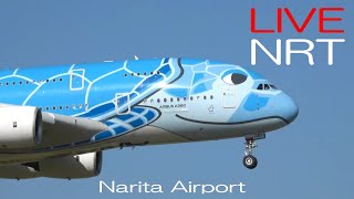 【LIVE】24219 Part1 成田空港 NARITA AIRPORT plane spotting [upl. by Esidarap]