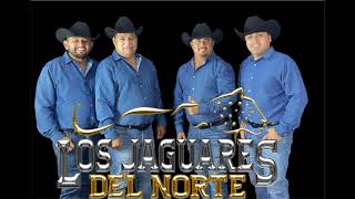 jaguares del norte 🪗 pacas de a kilo 2024 [upl. by Deidre]