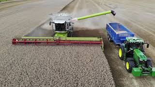 Claas Lexion 8900 Combine  THE WORLDS BIGGEST COMBINE amp 750 Combine at Eastern Ltd Open Day Escrick [upl. by Akiam]