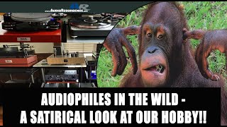 Audiophiles in the Wild A Satirical Look at Audiophiles and Their Spouse [upl. by Enyedy]