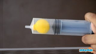 Boyles Law Experiment  Balloon Test  Science Projects for Kids  Educational Videos by Mocomi [upl. by Attolrahc]