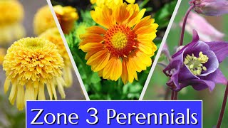 Perennials for Cold Climates Zone 3 [upl. by Ysnat]