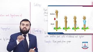 Class 10  Biology  Chapter 14  Lecture 4  Artificial Vegetative propagation  Allied Schools [upl. by Duile]