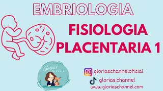 Embriologia humana funciones de la placenta [upl. by Arjan997]