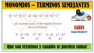 MONOMIOS  TERMINOS SEMEJANTES  AGRUPACION  OPERACIONES CON MONOMIOS [upl. by Inaoj]