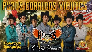 Los Halcones de San Luis Mix  Puros Corridos Viejitos Mix Para Pistear  Puros Éxitos De Oro [upl. by Manning215]