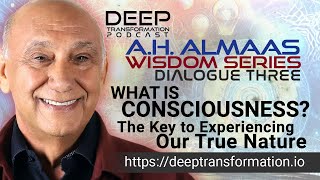 A H Almaas Hameed Ali Wisdom Series Dialogue 3 What is Consciousness [upl. by Poree739]