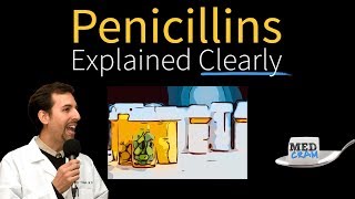 Penicillins  Antibiotics Explained Clearly [upl. by Aire]