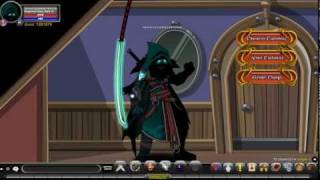 Aqw Epic Armour Combos [upl. by Vanderhoek593]