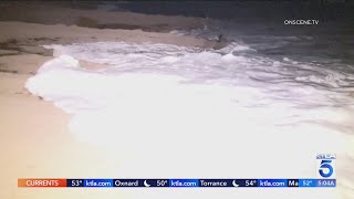 Ventura County on alert following massive swells [upl. by Fonda]