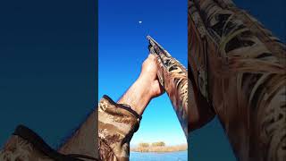 Watch how fast I picked up my gun and folded this snow  goosehunting duckhunting hunting [upl. by Estis81]