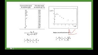 Cinética enzimática Inibición por sustrato [upl. by Angelis]