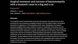 28 Surgical treatment and outcome of haematomyelia with a traumatic cause in a dog and a cat [upl. by Anallise]